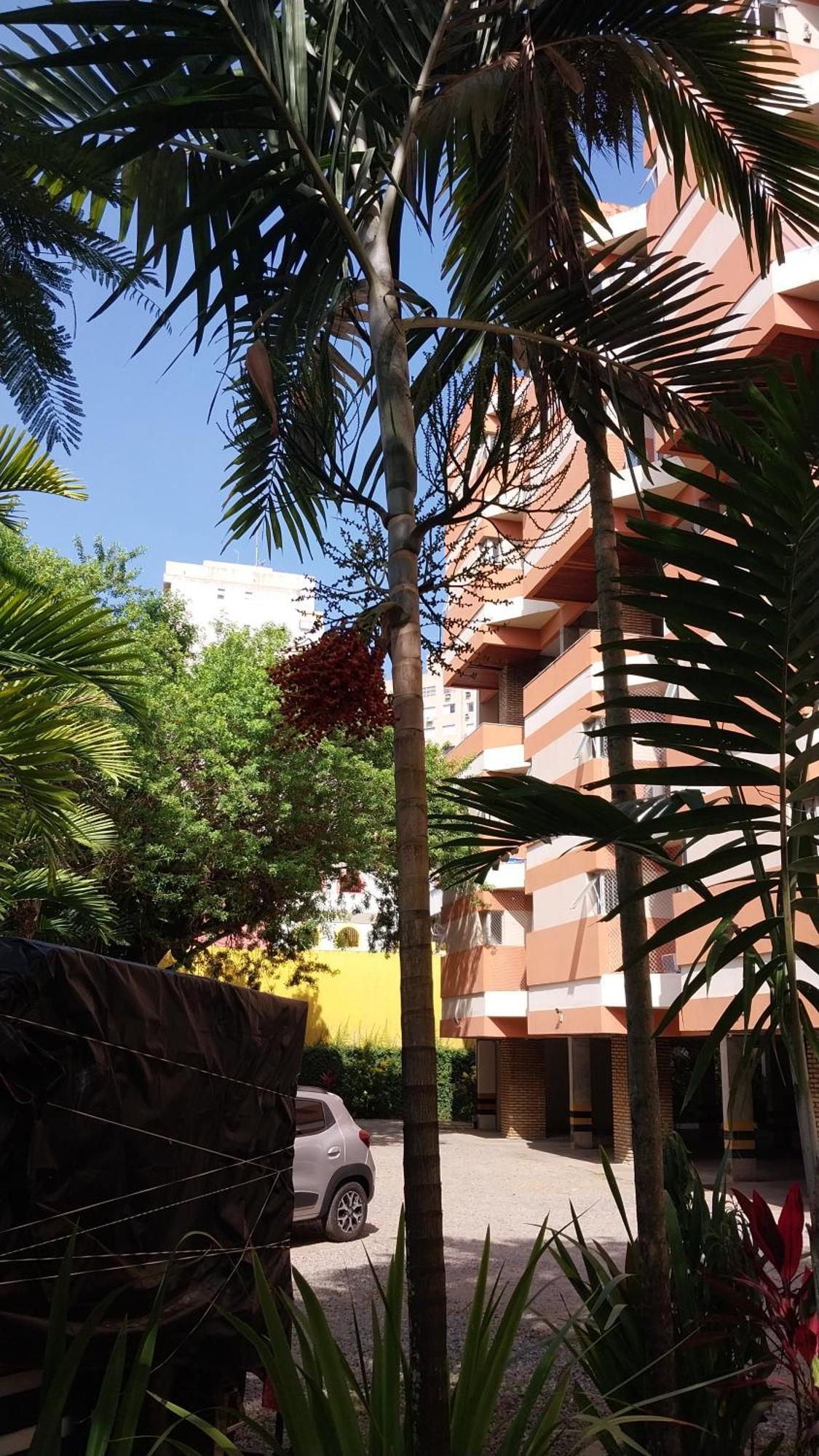 Apartamento Itaigara 萨尔瓦多 外观 照片